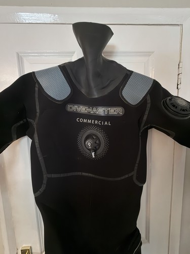 Northern diver divemaster - diver,