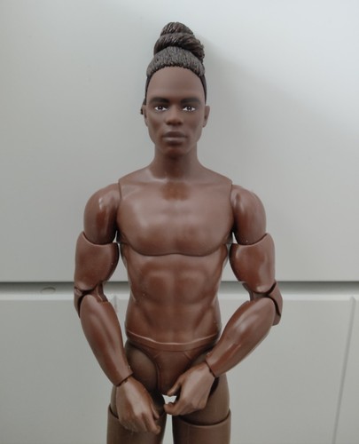 Barbie collector - collector, ken